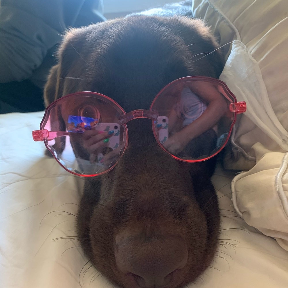 Pink round sunglasses